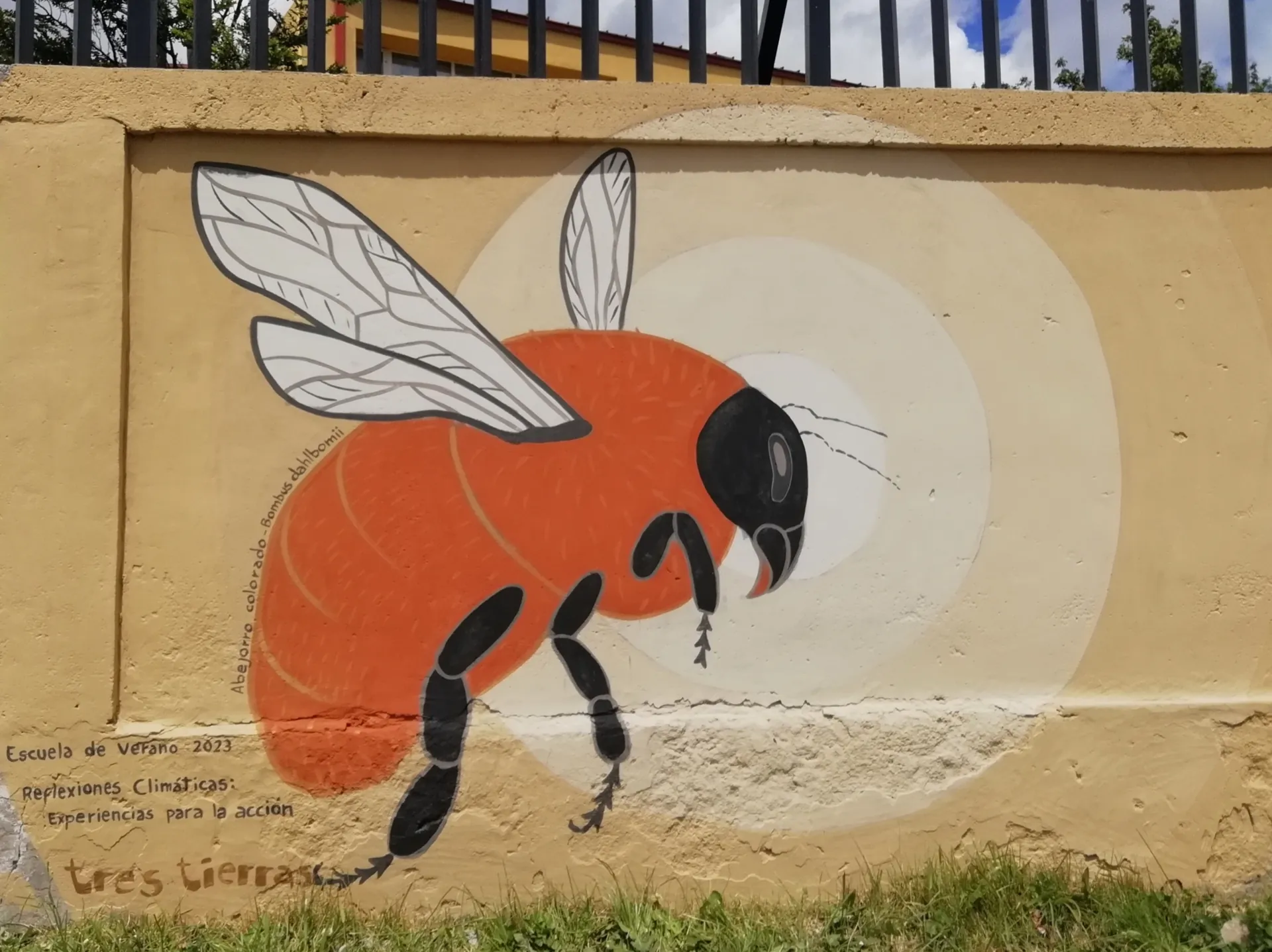 Abejorro