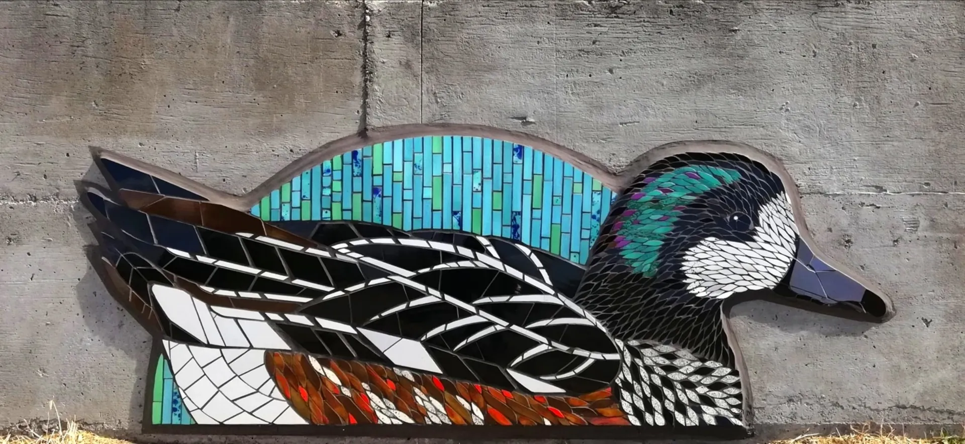 Pato Real